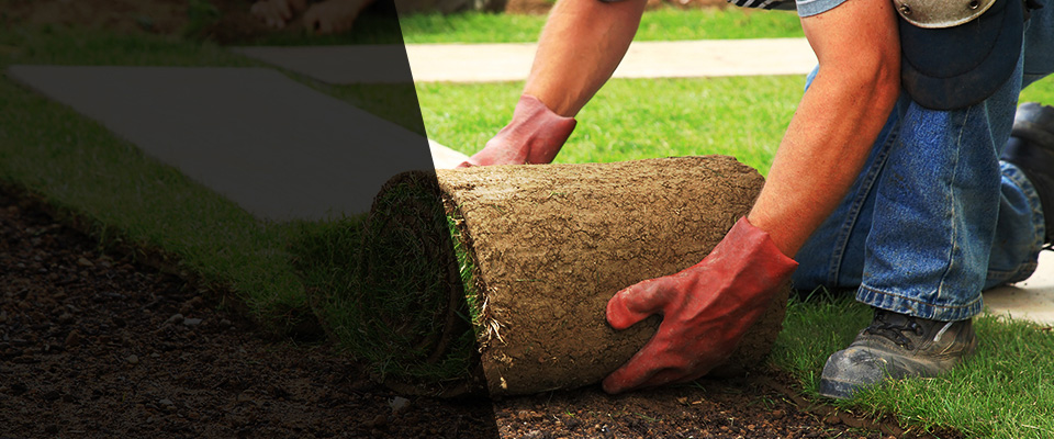 Coats Landscapers